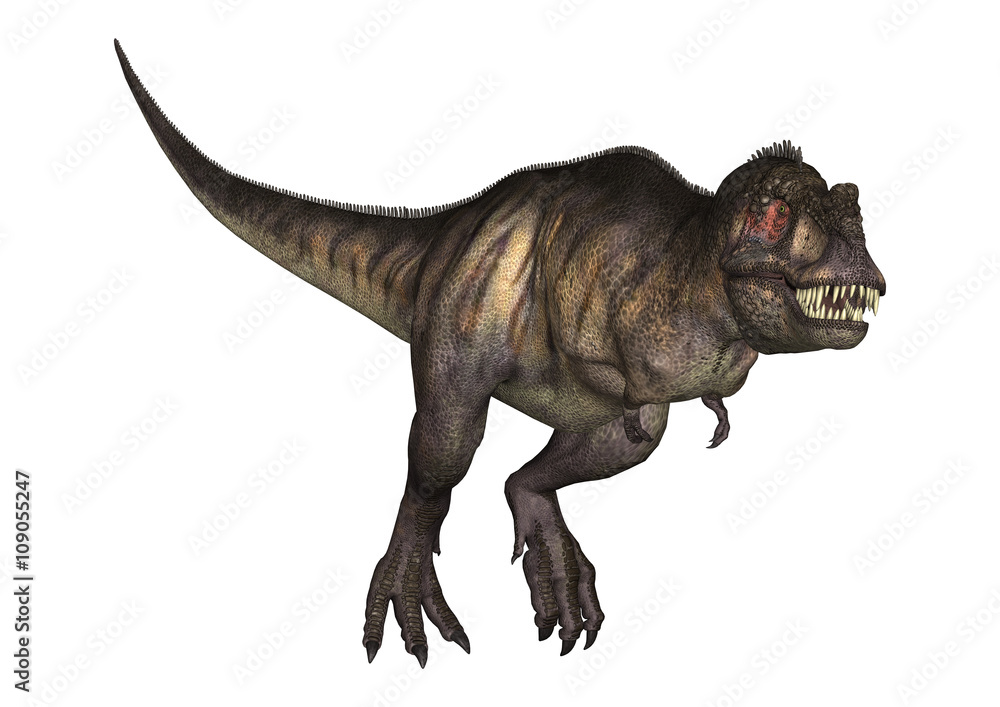 3D Illustration Tyrannosaurus on White 3D Illustration Tyrannosaurus on White