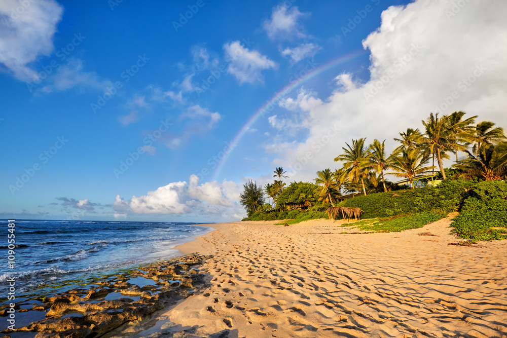 Fototapeta premium rainbow scenic view over the popular surfing place Sunset Beach, North Shore, Oahu, Hawaii, USA