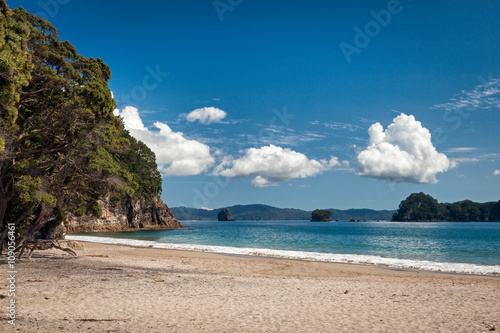 Hahei beach