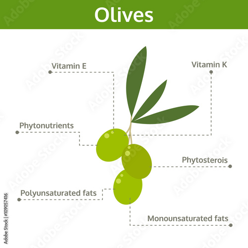 olives nutrient of facts and health benefits, info graphic vector