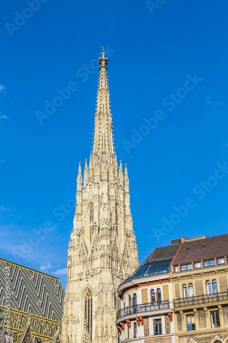 view to St. Stephen's Cathedral in vienna