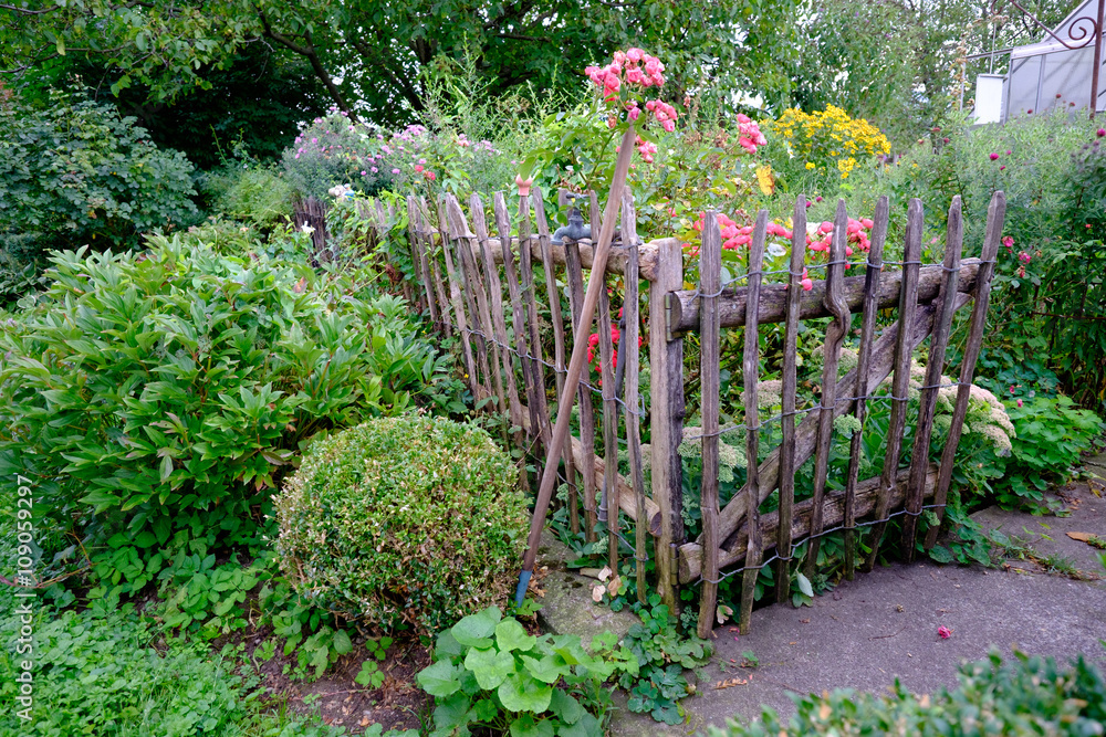 Naklejka premium üppig blühender, paradiesischer Bauerngarten im Sommer mit Buchs, altem Holzzaun, Rosen und Stauden in voller Blüte