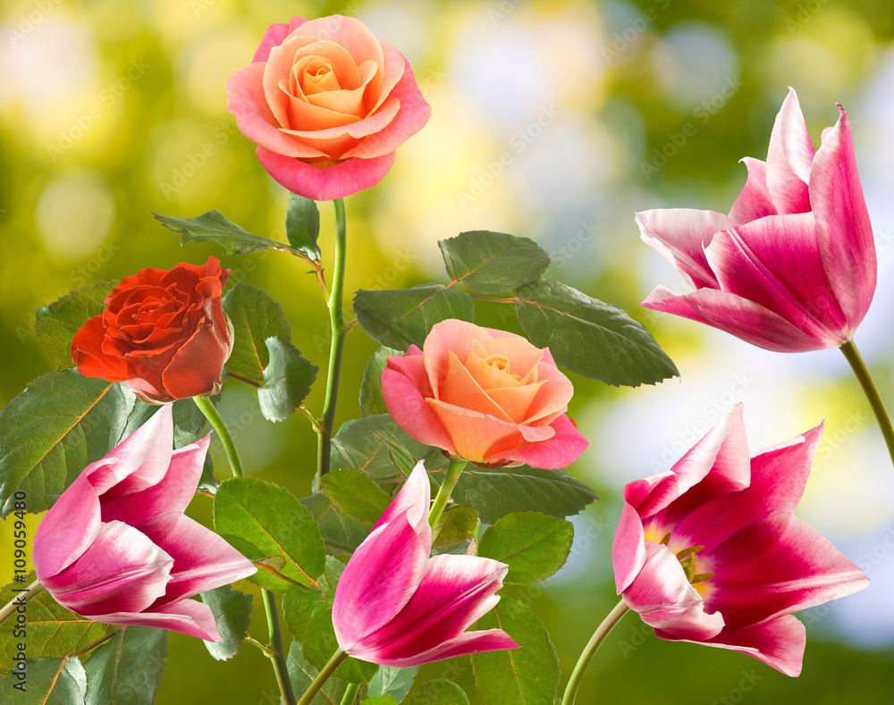 image of beautiful flowers in the garden on rays background