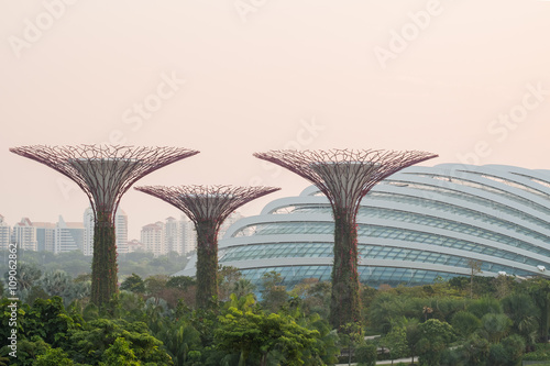 Garden By The Bay in Singapore © annop24