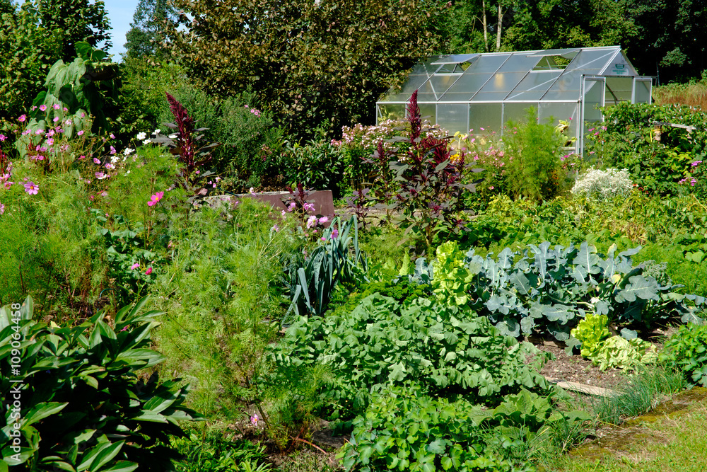 Allgäuer Bauerngarten bei Eglofstal im Sommer mit Gewächshaus und Gemüsebeeten Allgäuer Bauerngarten bei Eglofstal im Sommer mit Gewächshaus und Gemüsebeeten