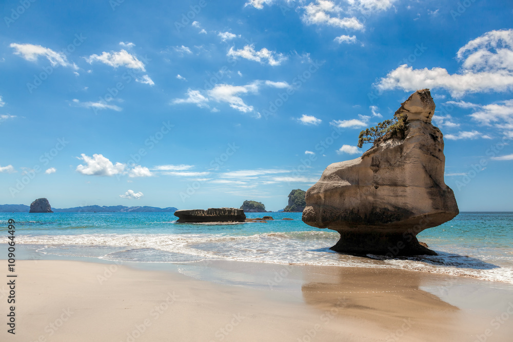 Obraz premium Cathedral Cove Coromandel Peninsula