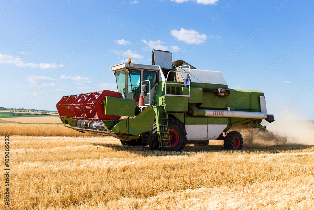 Fototapeta premium Combine harvester working on a wheat field.