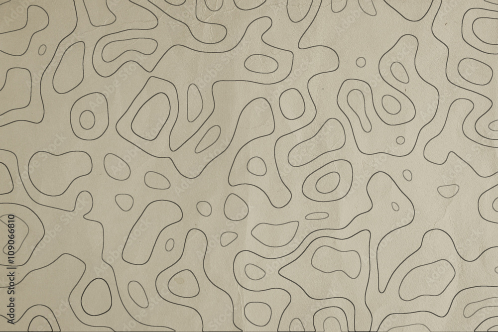 Clean Topographic Map Texture Clean Topographic Map Texture