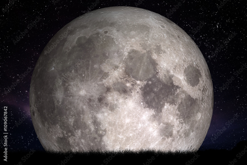 Fototapeta premium Full moon at night. Grass in the foreground. Perfect for background, copy-space