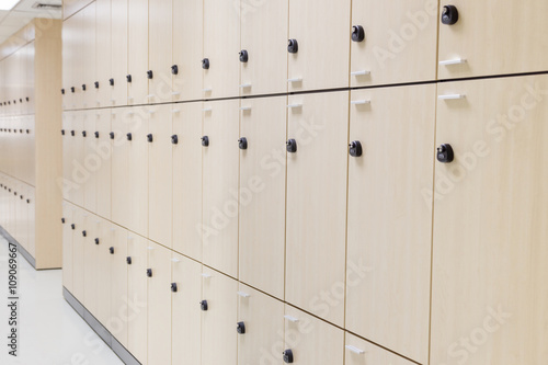 Modern wood locker