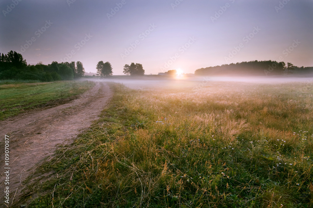 Fototapeta premium Sunset over fileds of ripening barley near Wadebridge in Cornwall