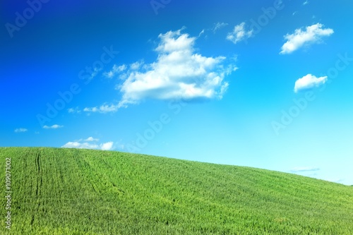 a Green field