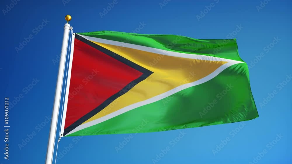 Guyana flag waving in slow motion against clean blue sky, seamlessly looped, close up, isolated on alpha channel with black and white luminance matte, perfect for film, news, digital composition Guyana flag waving in slow motion against clean blue sky, seamlessly looped, close up, isolated on alpha channel with black and white luminance matte, perfect for film, news, digital composition