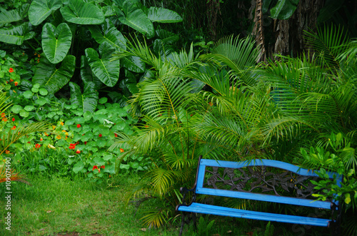 Tablou pe pânză La Réunion - Un coin de jardin sous la pluie