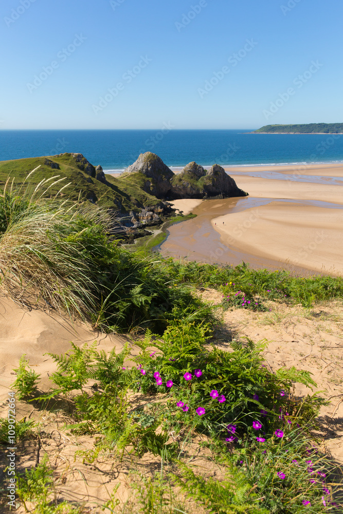 Three Cliffs Bay the Gower Wales uk in summer sunshine beautiful part of the peninsula
