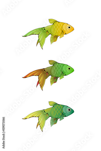 Hand-drawn ink-stylized little colorful aquarium fishes isolated on white