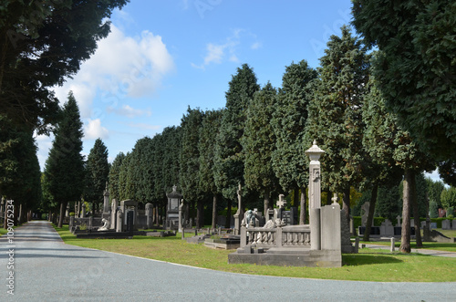 Billede på lærred Old nice-looking graves surrounded by conifers on a graveyard