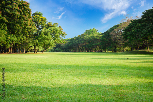 Slika na platnu Green lawn with blue sky in park