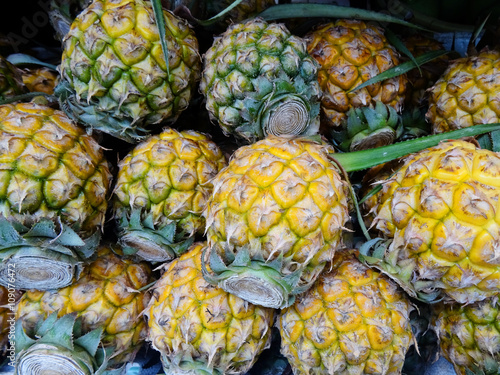 Dwarf pieapple fruits photo