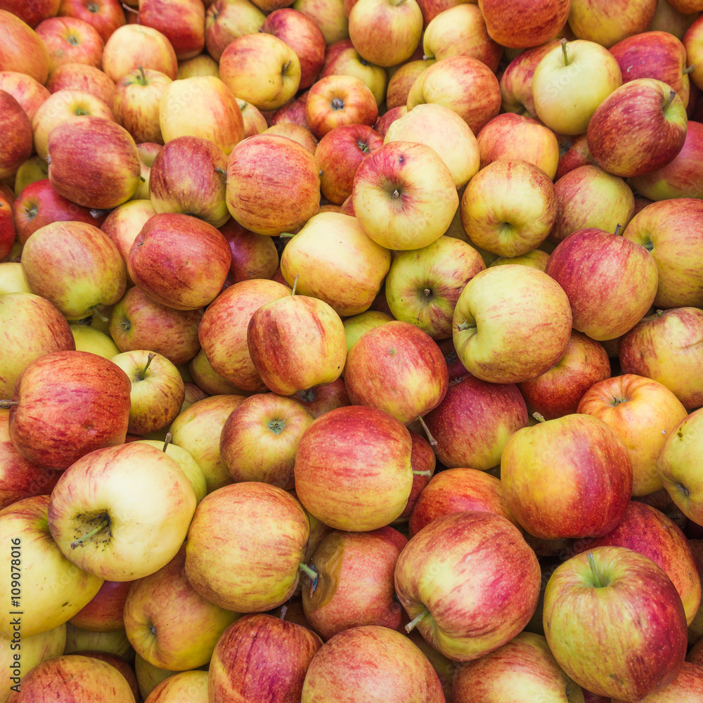 fresh red and yellow apples. Group of apples fresh red and yellow apples. Group of apples