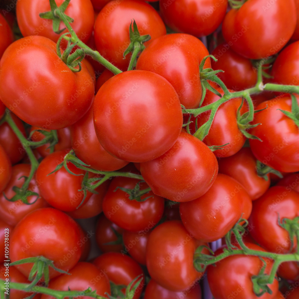 fresh tomatoes. red tomatoes background. Group of tomatoes