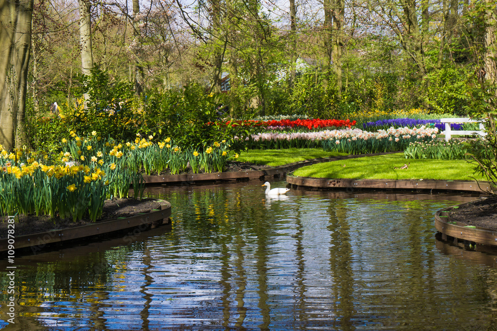 Fototapeta premium spring garden. Keukenhof garden