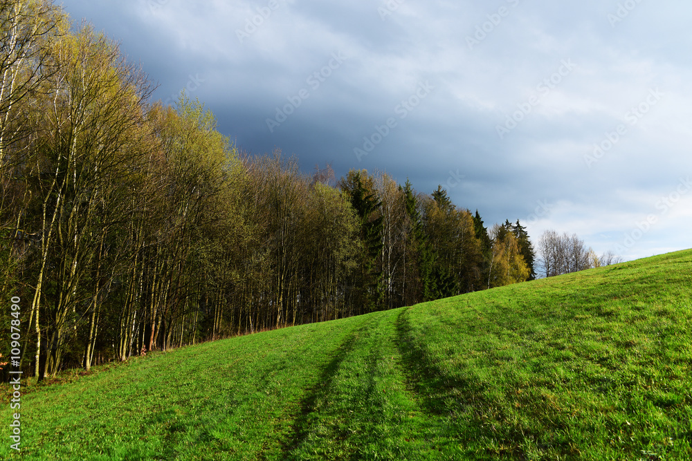 Obraz premium Spring day in mountains