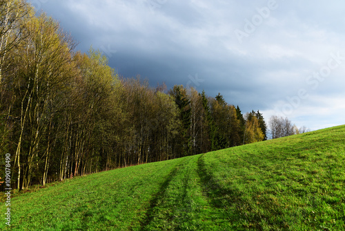 Spring day in mountains