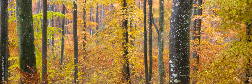Herbst Herbst