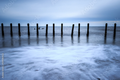 Wooden groynes