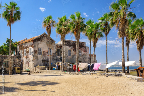 Fototapeta Naklejka Na Ścianę i Meble -  Big courtyard with big palms and old houses at the Goree island, Senegal. 