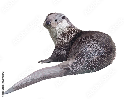  Realistic otter