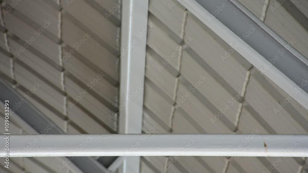 Bird Pigeon perched under roof beam Bird Pigeon perched under roof beam