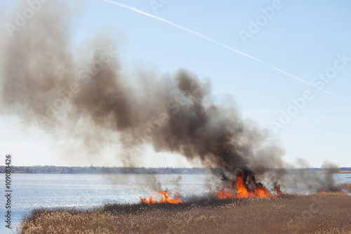 Fire. Burning reed.