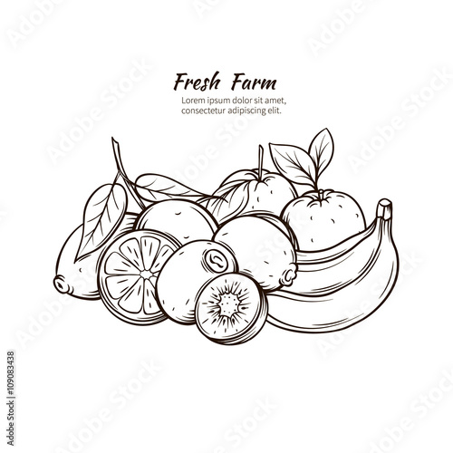 Hand Drawn tropic  fruits.