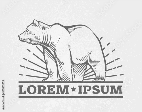 Bear logo Emblem. Simple vector image