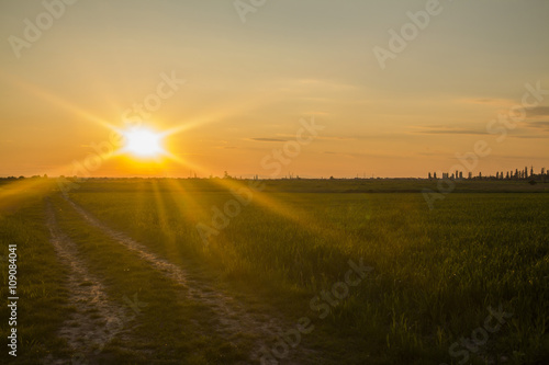 road in a field © robertuzhbt89
