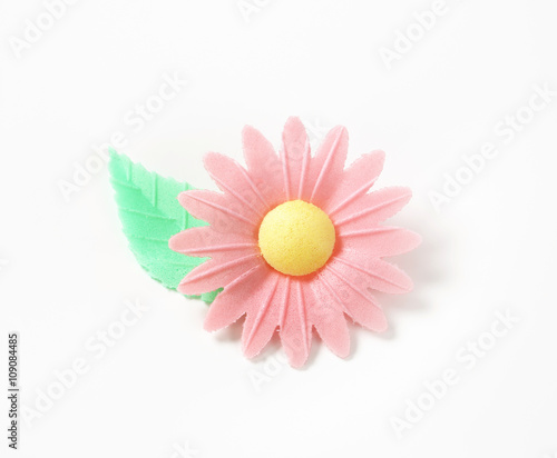 pink wafter paper daisy