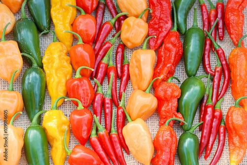 Colorful arrangement of hot peppers