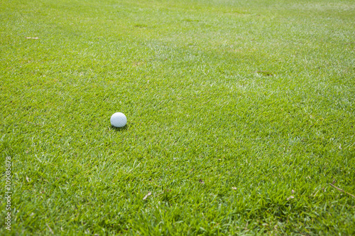 detail of golf ball on grass