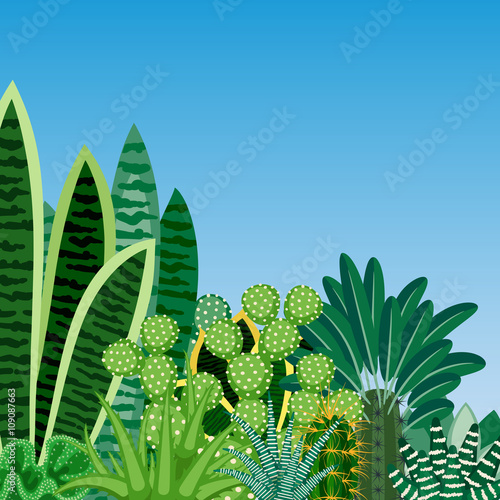 Cactus and succulents.