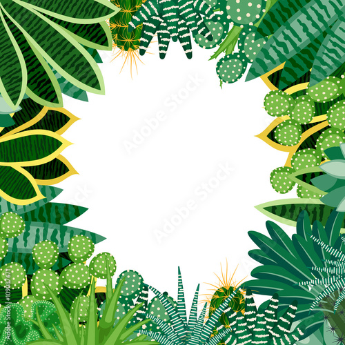 Cactus and succulents.