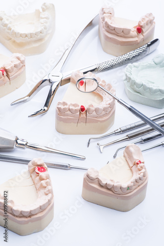 Teeth mold and basic dental tools on white table