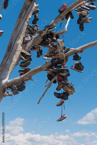 The famous tamarisk "shoe tree" near Amboy on Route 66 