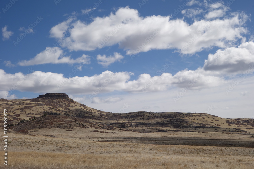 Backdrop for a Old Western Movie?  Small Mesa / Plateau in the American West