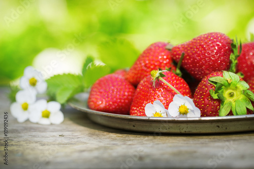 Fototapeta Naklejka Na Ścianę i Meble -  Perfect sweet ripe strawberries on wooden background outdoors