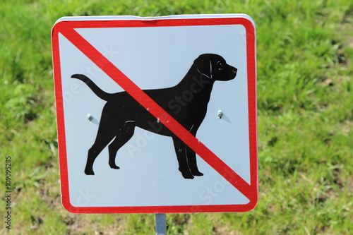 sign dog walking is prohibited photo