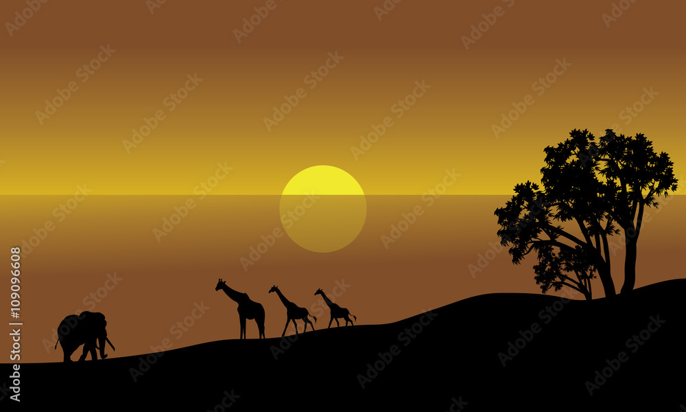 Illustration of an african landscape silhouette Illustration of an african landscape silhouette