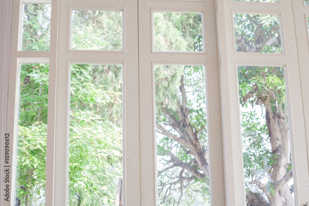 Window with a view of the garden Window with a view of the garden