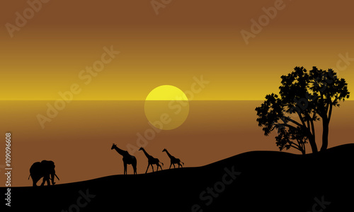 Illustration of an african landscape silhouette